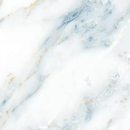 Фото Керамогранит Eternal ETACN1221GL6060 White Storm Glossy 60x60 Индия