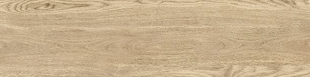 Фото Керамогранит Tanzania Beige матовый 151x602 (GP1560TAN11) Россия