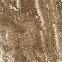 Фото Керамогранит ProGRES Ceramica GNR0068-G Магма Коричневый темный граниль 600x600x9.5