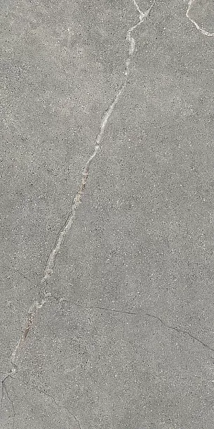 Фото Керамогранит Lea Ceramiche LGXAL45 Anthology 04 Gray Natural RT 9.5mm 60x120 Италия
