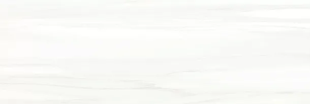 Плитка WT15POL00R Palissandro Light 246x740x10 для ванной, для туалета Фото Плитка WT15POL00R Palissandro Light 246x740x10 Россия