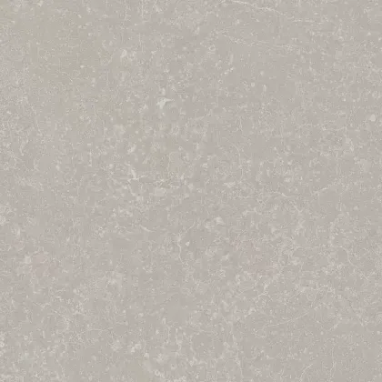 Фото Керамогранит Kerama Marazzi Касабланка серый светлый матовый 20x20x0,8 (KM2020G0011N) Россия