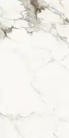 Фото Керамогранит La Faenza AE CAP6 12 LP 60x120