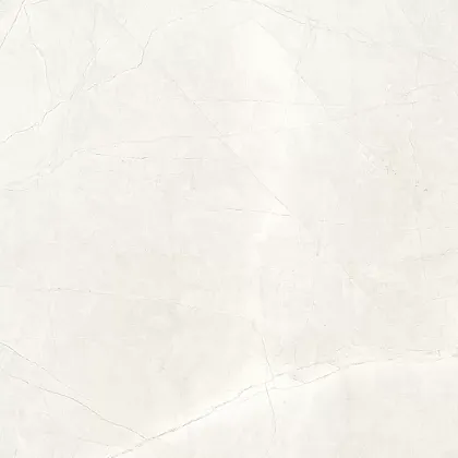 Фото Керамогранит Splash Bianco белый Сатинированный Карвинг 60х60 Индия