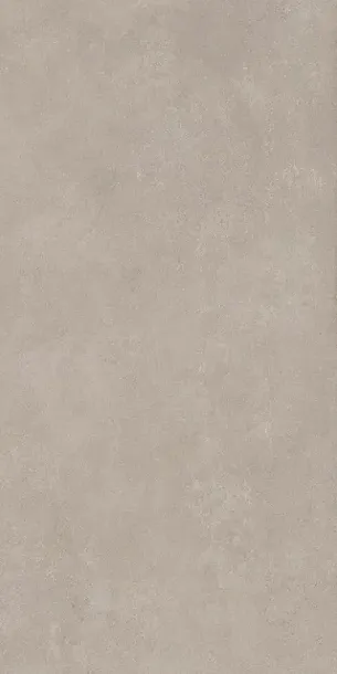 Фото Керамогранит Dado Ceramica 304396 Blaze Greige Rett 60x120 Италия