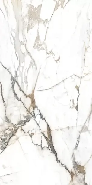 Фото Керамогранит Alpas Eco Marble 6582 Polished 60x120 Индия