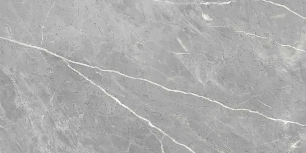 Фото Керамогранит Ennface ENSTN8003LM60120 Marcasite Glossy 60x120 Индия