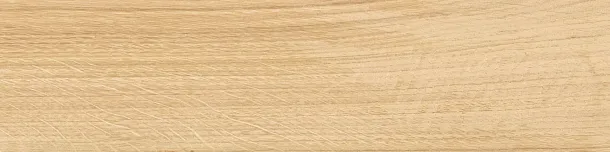 Фото Керамогранит Kerama Marazzi Аргания бежевый матовый 9,9x40,2x0,8 (KM1040G0011N) Россия
