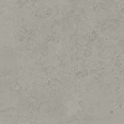 Фото Керамогранит DD640920R Про Лаймстоун серый натуральный обрезной 60х60 Россия