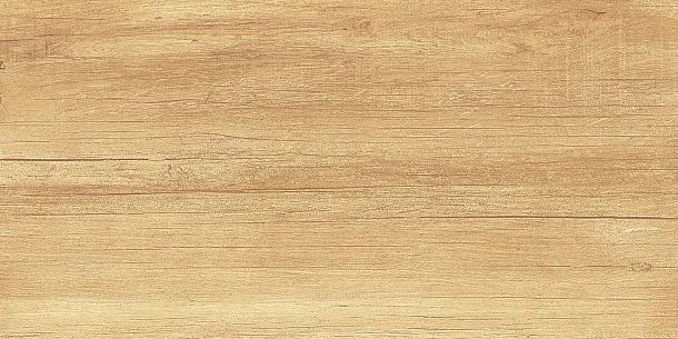 Фото Плитка Paradise Wood 250x500x9 (WT9OAS31) Россия