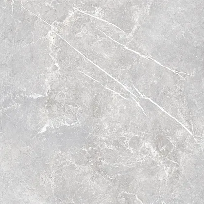 Фото Керамогранит Laparet Lp6060G0071R Lune Grigio Серый Матовый Карвинг 59,5Х59,5 Россия