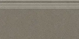 Фото Ступень DD254220R\GR Джиминьяно коричневый матовый обрезной 30x60