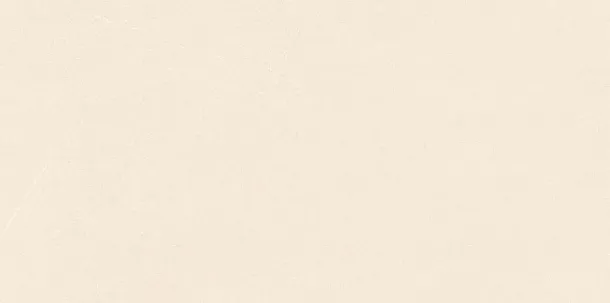 Фото Керамогранит Gravita Melton Ivory Ghr Punch Matt 80x160 Индия