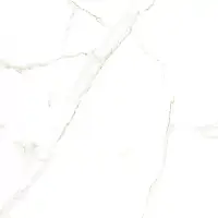 Керамогранит Satvario Lite 60x60 Индия Фото Керамогранит Satvario Lite 60x60