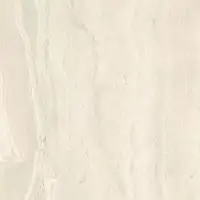 Фото Керамогранит Imola Ceramica TRARGE6 60 RM 60x60