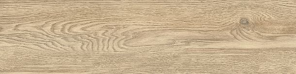 Фото Керамогранит Tanzania Beige матовый 151x602 (GP1560TAN11) Россия