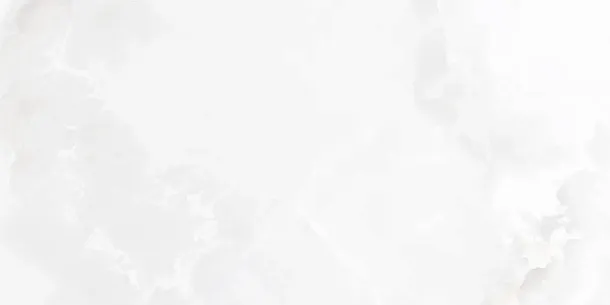 Фото Керамогранит Laparet Onyx Blanco Pro Светло-Серый Матовый R11Soft 60Х120 Индия