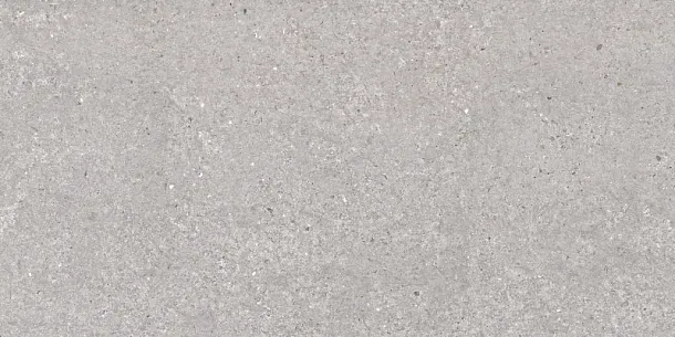Фото Керамогранит Argenta San Vicente Natural Matt 60x120 Испания