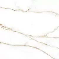 Фото Керамогранит Geotiles Brera Gold Compacglass 60x60
