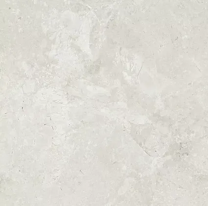 Фото Керамогранит Dako E-5000/MR Legend Серо-бежевый ректификат 600x600x9 Россия