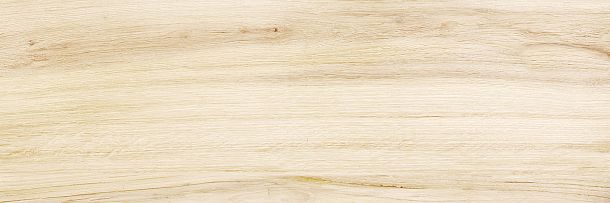 Фото Плитка Canyon Wood 246x740 (WT15CAC08R) Россия