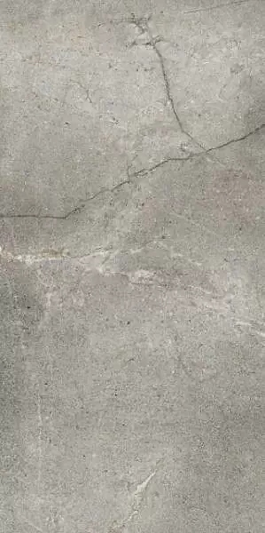 Фото Керамогранит Dado Ceramica 304013 Mask Silver 60x120 Италия