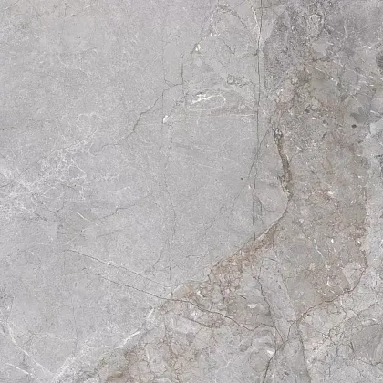 Фото Керамогранит ZERDE TILE Fior Di bosco Grey 60x60 Казахстан