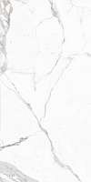Керамогранит Marmi Classici Bianco Calacatta 120x60 soft rett. (P612527) Фото Керамогранит Marmi Classici Bianco Calacatta 120x60 soft rett. (P612527)