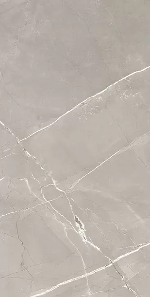 Фото Керамогранит Alpas Armani Grey Satin 60x120 Индия