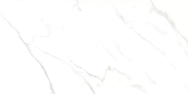Керамогранит Carrara Livia Glossy 60x120 (M4401P) для гостиной, для кухни, для ванной, для туалета, для спальни, для прихожей, на теплый пол Фото Керамогранит Carrara Livia Glossy 60x120 (M4401P) Китай