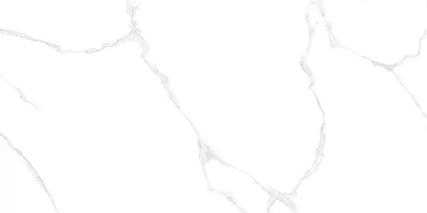 Фото Плитка WT9ELT00 Elemento Bianco Carrara 250*500*9 Россия