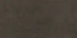 Фото Керамогранит DD202820R Про Фьюче коричневый обрезной 30x60