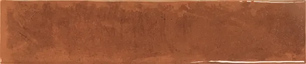 Фото керамическая плитка Monopole 002700 San Remo Amber 5x25 Испания