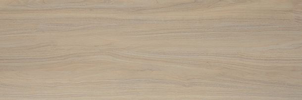 Фото Плитка Tokio 200x600 (TWA11TOK404) Россия