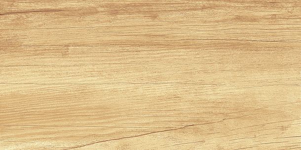 Фото Плитка Paradise Wood 250x500x9 (WT9OAS31) Россия