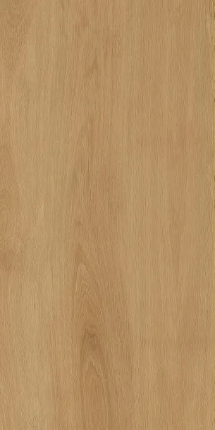Фото Керамогранит Protiles PT12F7041 Albero Beige Matt 1200х600х9 Узбекистан