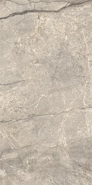 Фото Керамогранит Caesar AIAV Amazing Silver Liscio Matt 60x120 Италия