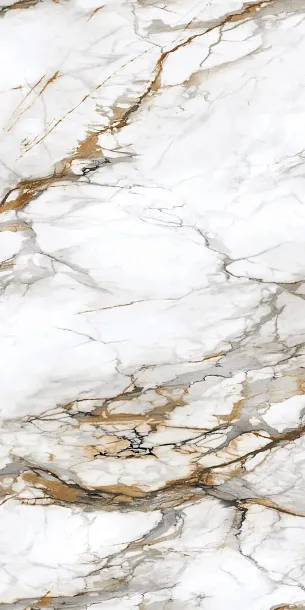 Фото Керамогранит Protiles PT12P7081 Royal Marble Полированная 1200х600х9 Узбекистан