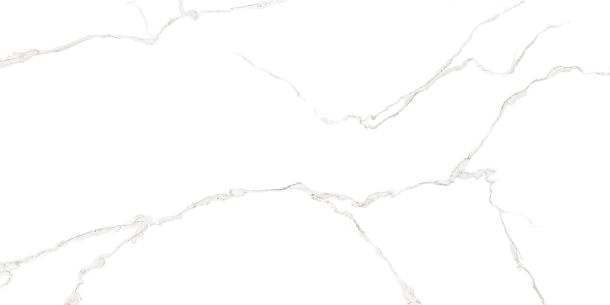 Фото Плитка Elemento Bianco Carrara 250x500x9 (WT9ELT00) Россия