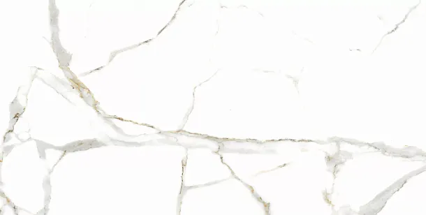 Фото Керамогранит Satvario Gold 60х120 Индия