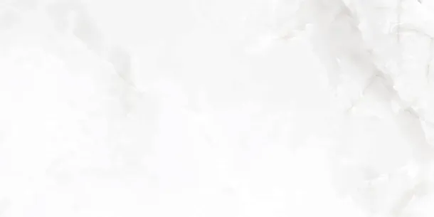 Фото Керамогранит Laparet Onyx Blanco Pro Светло-Серый Матовый R11Soft 60Х120 Индия