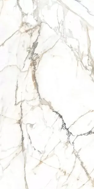 Фото Керамогранит Alpas Eco Marble 6582 Polished 60x120 Индия
