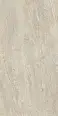 Керамогранит Century 144807 Cristalia Metrix Natural Evolution Rect 60x120