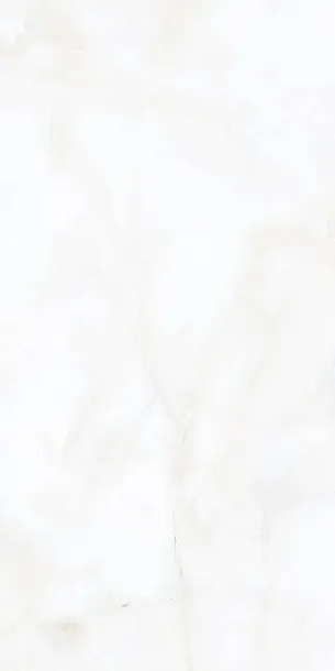 Фото Керамогранит Alpas Nikita White Pol 60x120 Индия