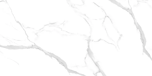 Фото Керамогранит Statuario Ultra White 60x120 (NTT99512M) Индия