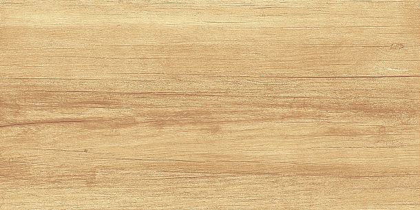 Фото Плитка Paradise Wood 250x500x9 (WT9OAS31) Россия