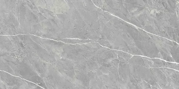 Фото Керамогранит Ennface ENSTN8003LM60120 Marcasite Glossy 60x120 Индия