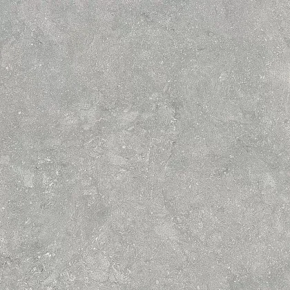 Фото Керамогранит Alpas Fossil Gris 20mm 60x60 Индия