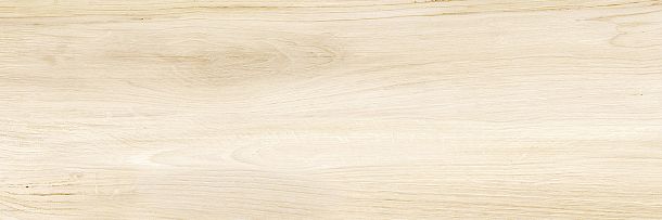 Фото Плитка Canyon Wood 246x740 (WT15CAC08R) Россия