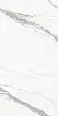 Керамогранит Protiles PT12P7002 Calacatta Pol 1200х600х9